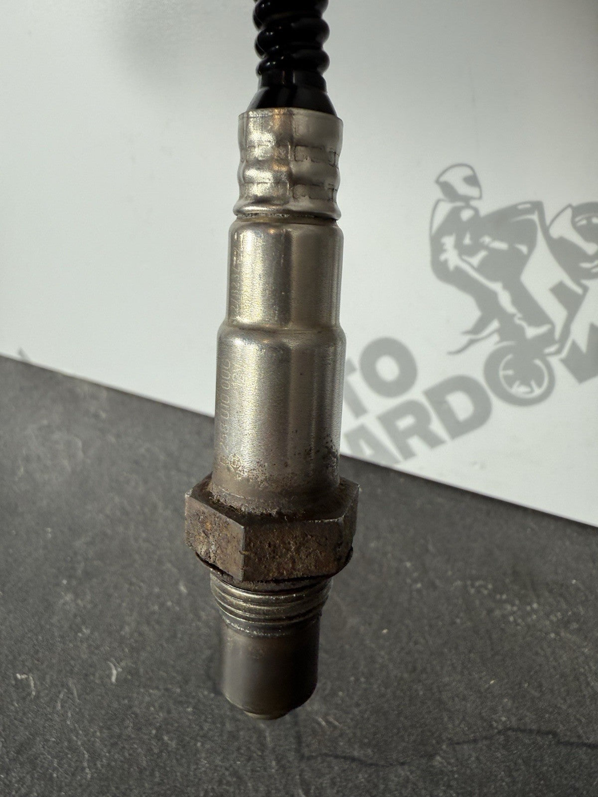 b87a2bcb-5ffa-4670-921d-2a819bd76e0b