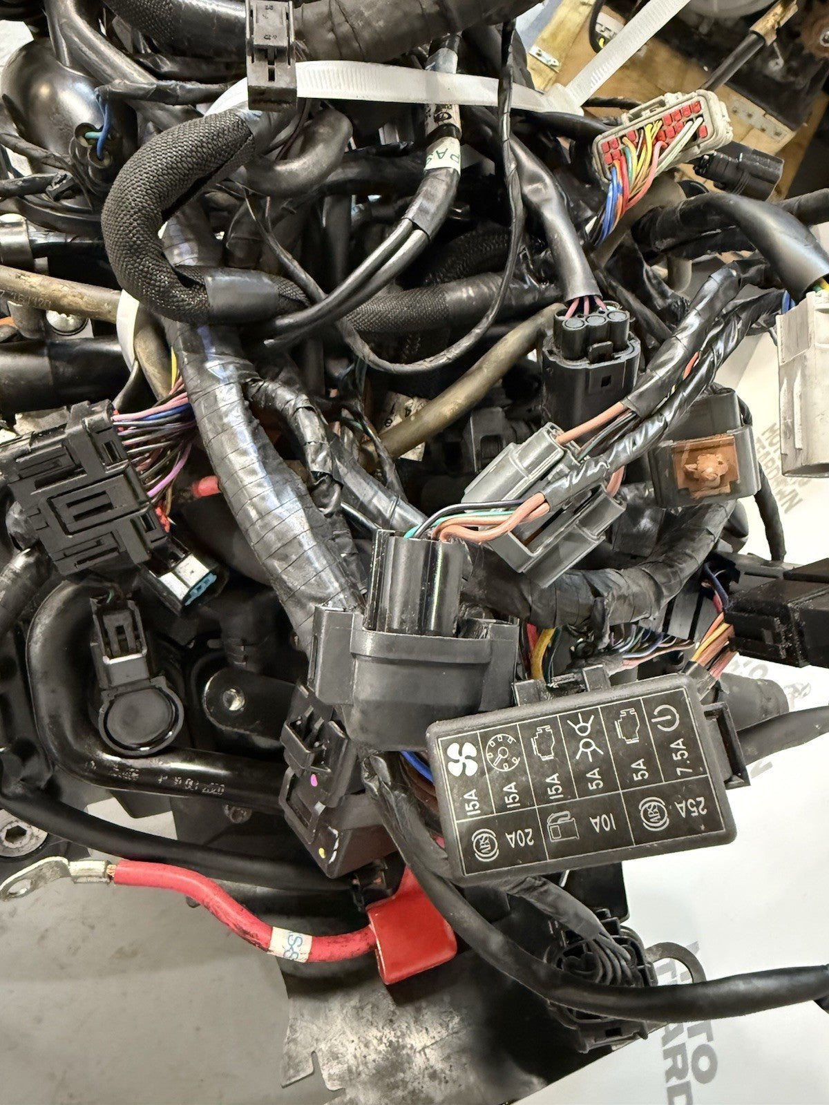 TRIUMPH TRIDENT 660 Engine 2021-2023 Trident 660 Engine, Loom, Throttle Bodies