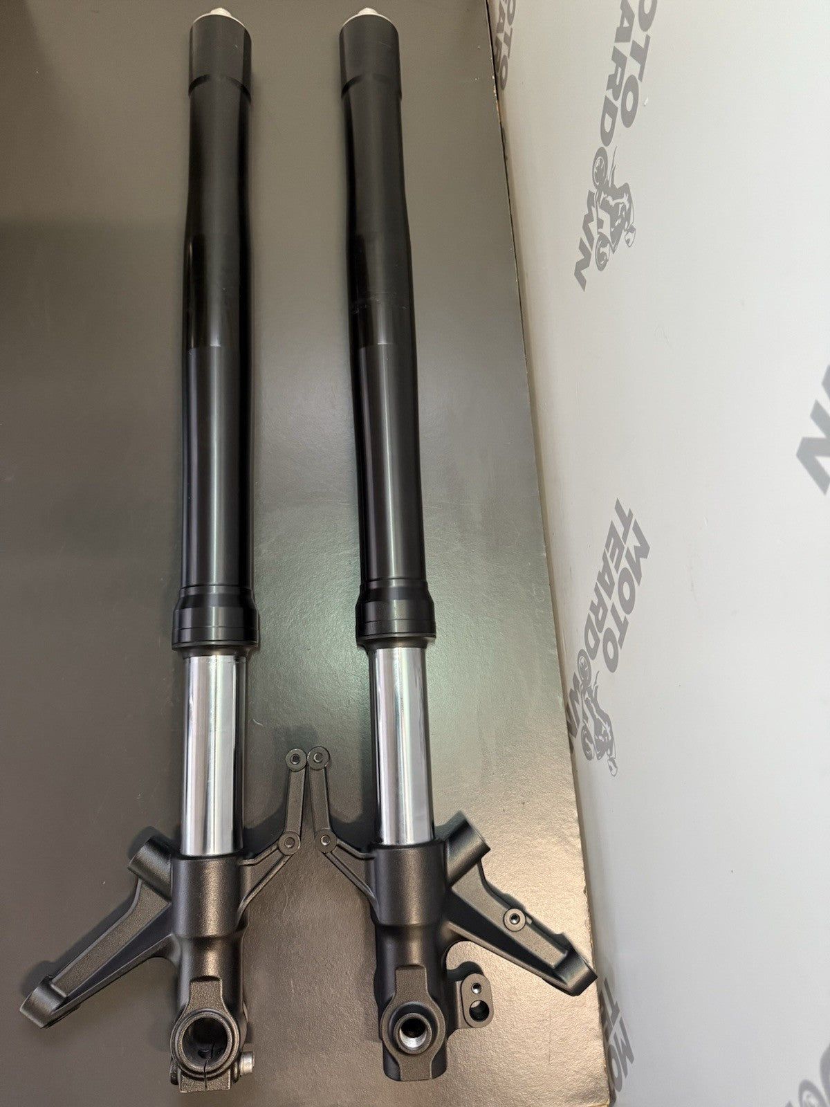 ebe88ef9-acf8-43fd-92d5-38b274f10463