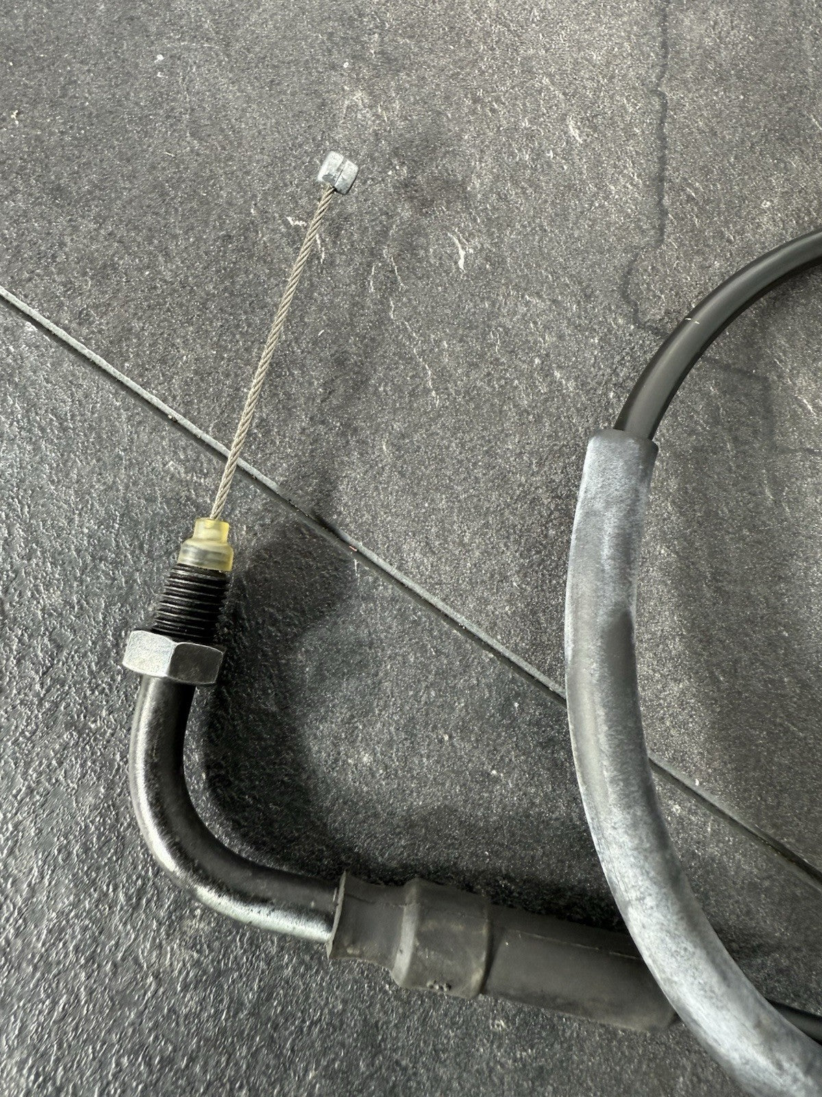 8dda559f-e1ad-4565-bfea-fb9679c5dd47