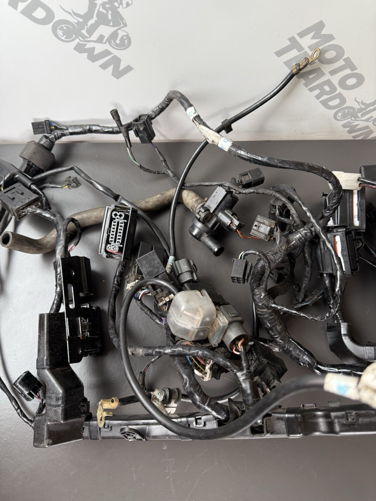 TRIUMPH STREET TRIPLE 675R WIRING LOOM Engine Wiring Loom 2013-2016