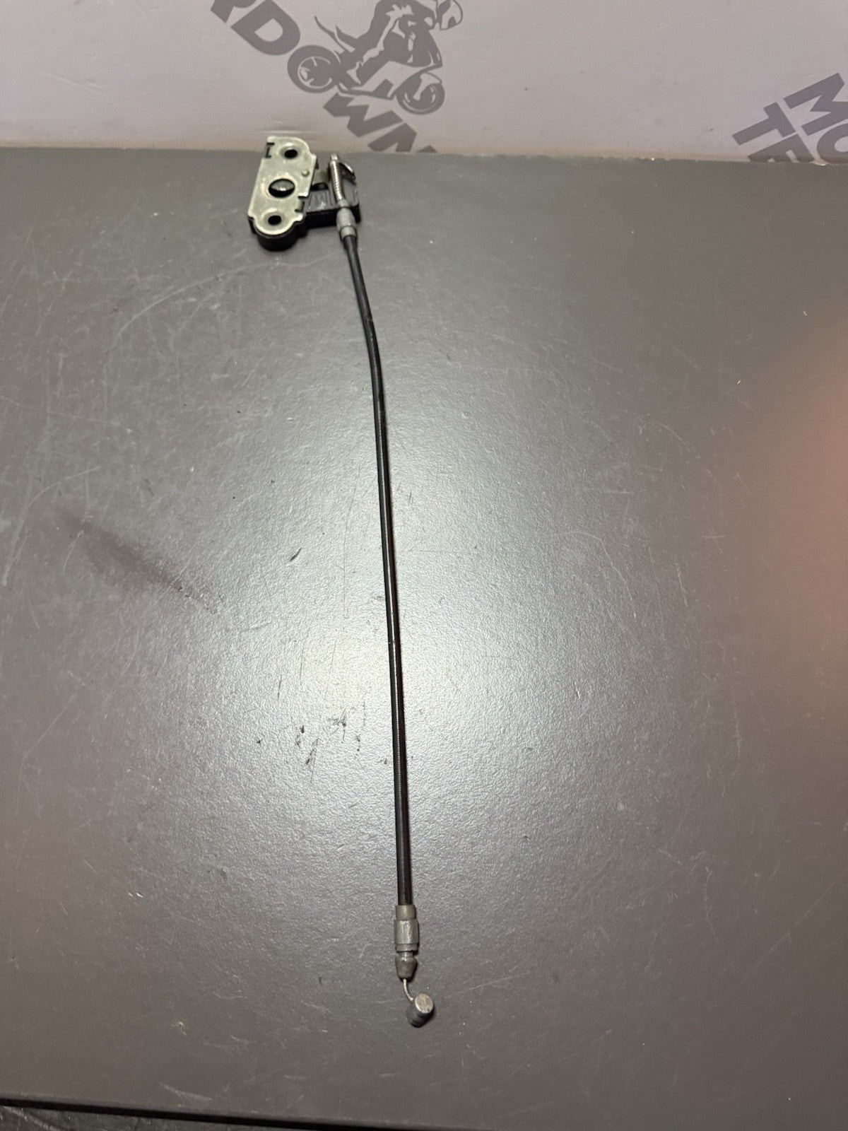 255e65f1-d652-446d-be29-d7751a415478