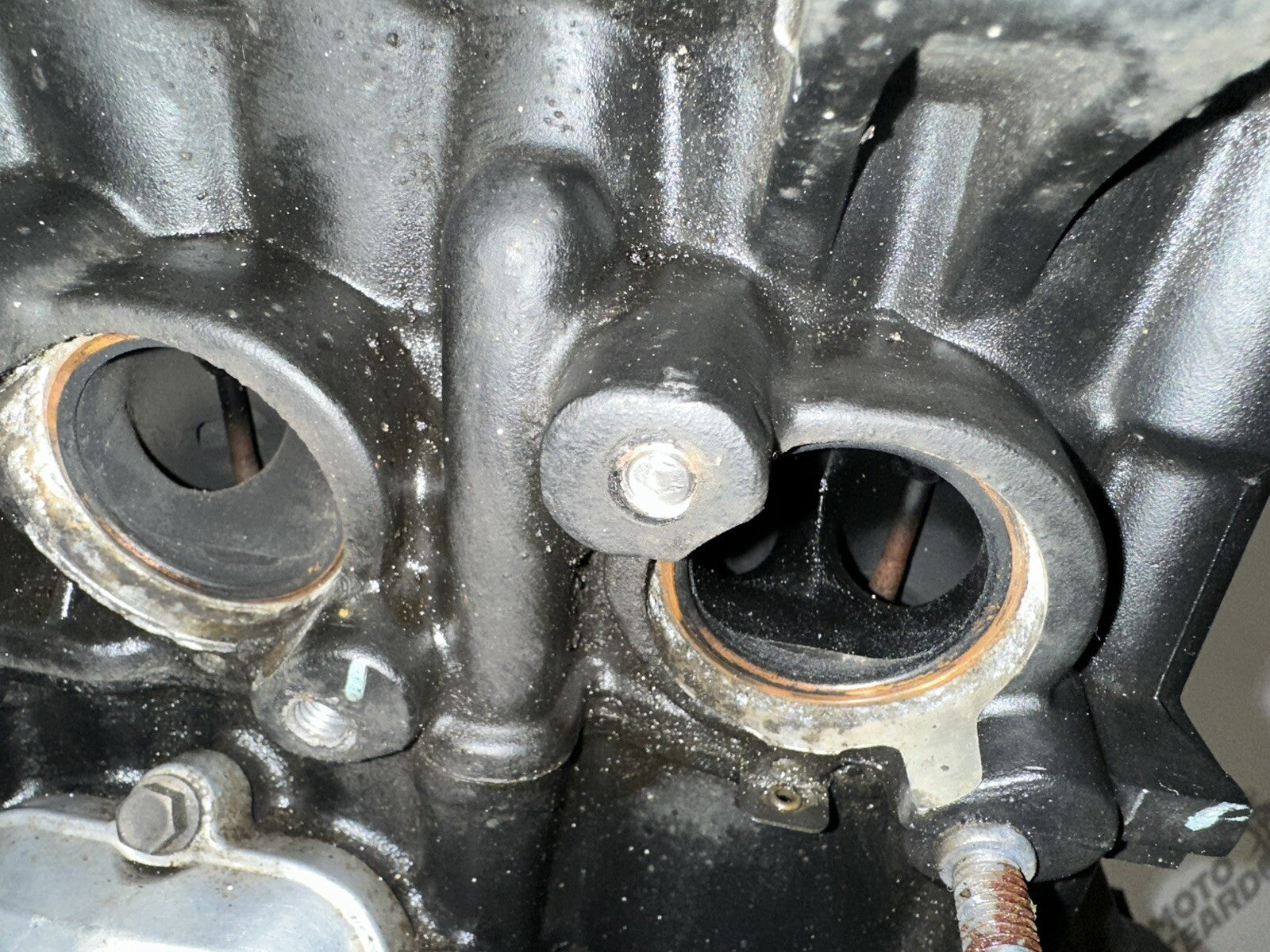 Triumph TIGER 900 GT PRO 2022 Engine Loom & Throttle Bodies 6337 Mile 2020-2023