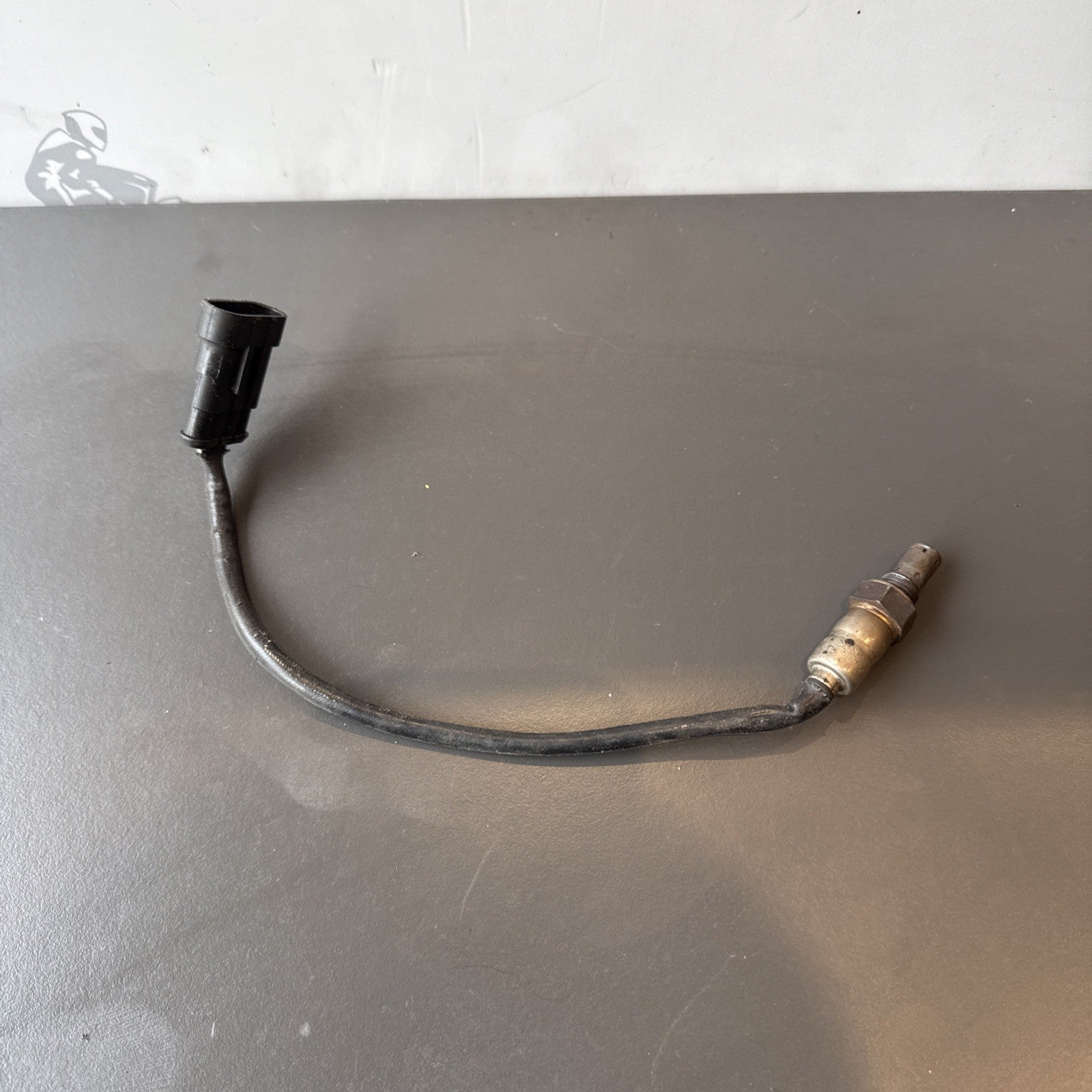 1fed8e32-6347-4fce-9d50-ee5a7e7d2976