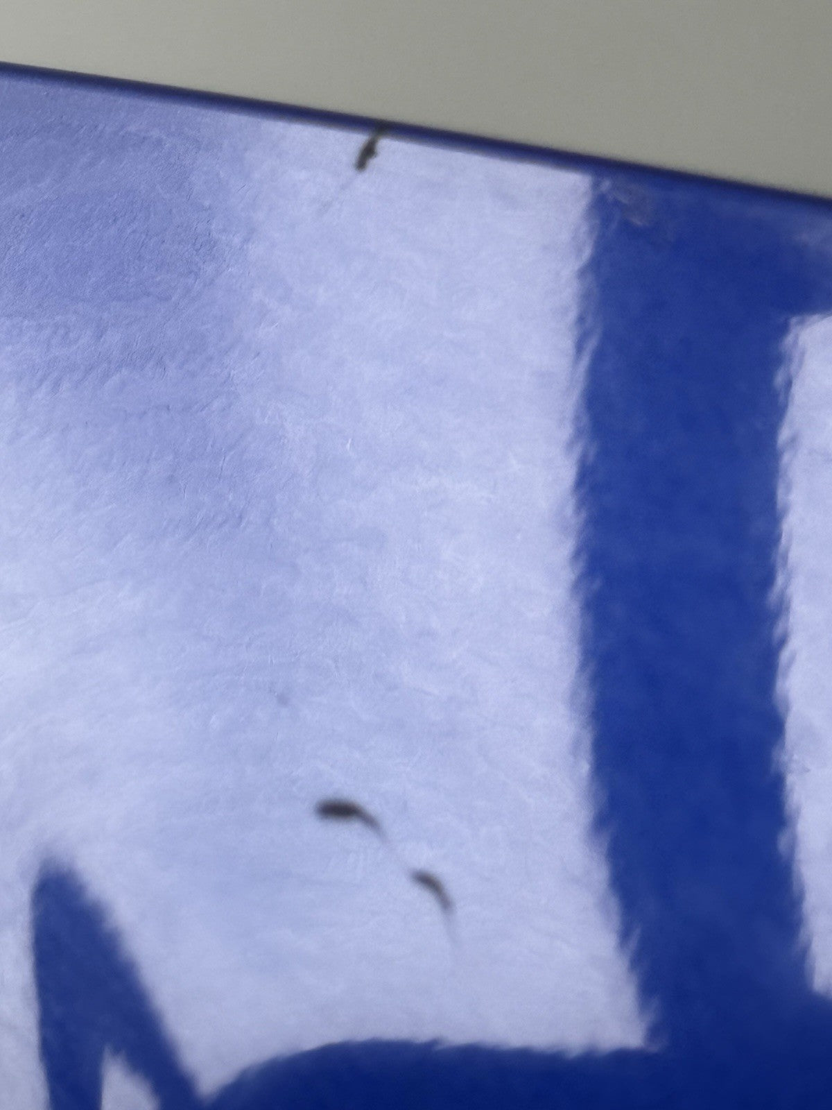 5faa564d-8b19-4f95-9096-4f6eb3bd4d6b