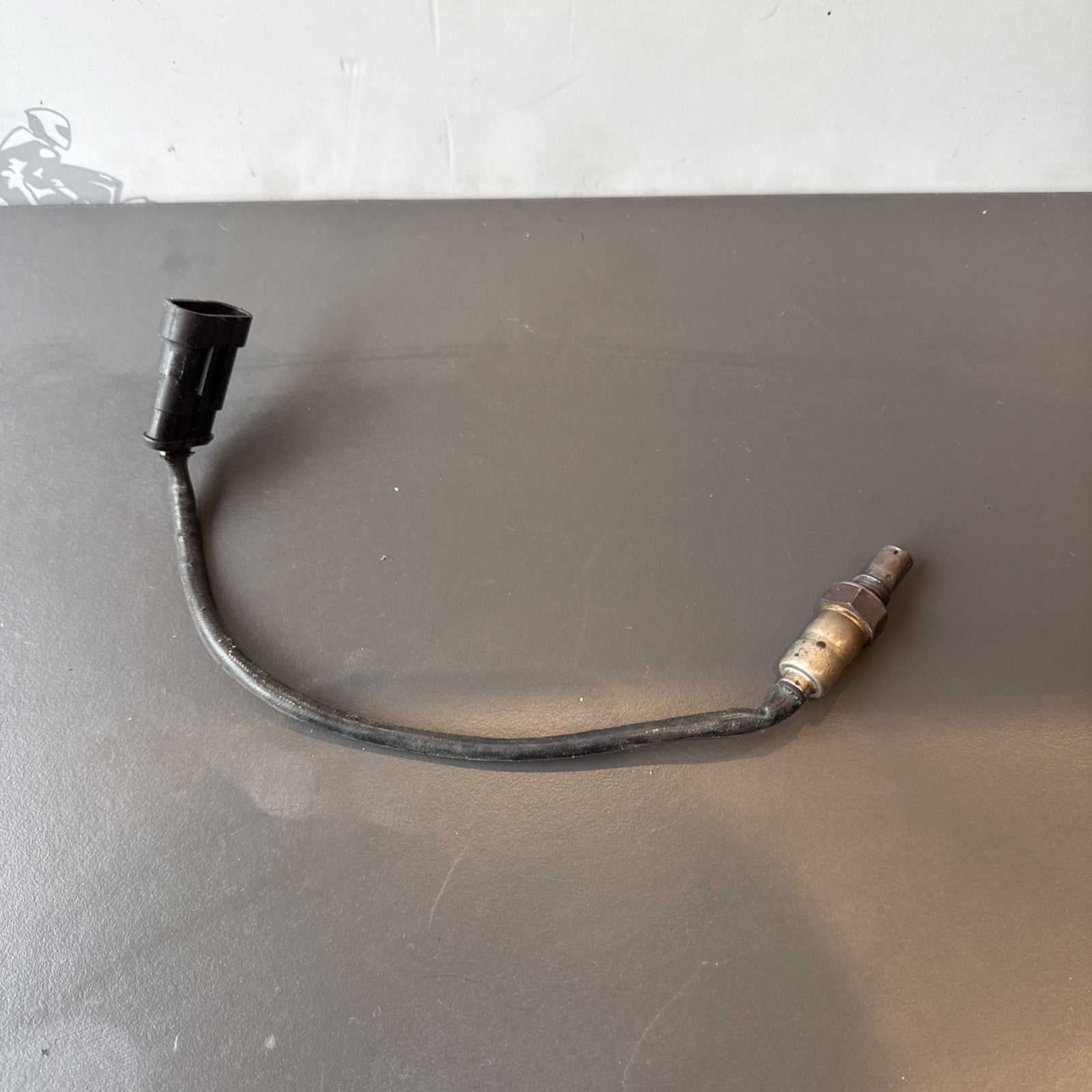 5bbd15dd-7327-4963-b3ab-6d9f94f8a695