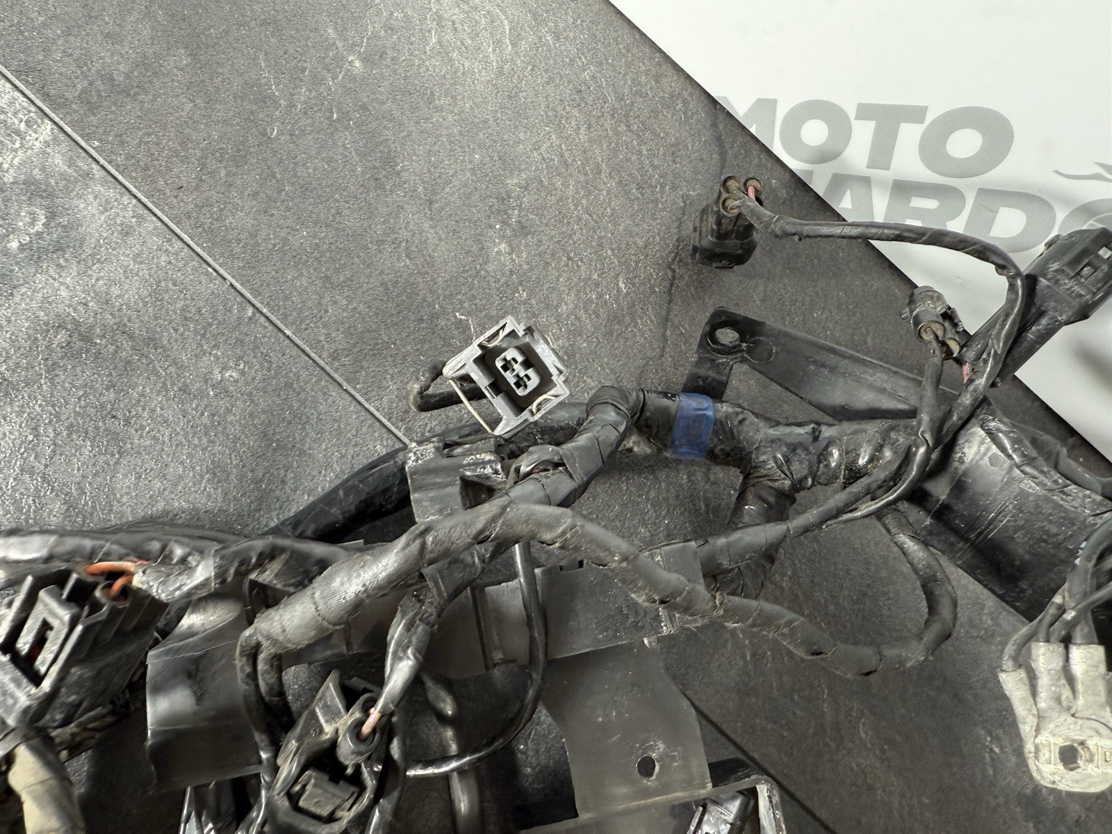 92e7f2f2-3fa4-4afd-a5ba-8c138b71f55a