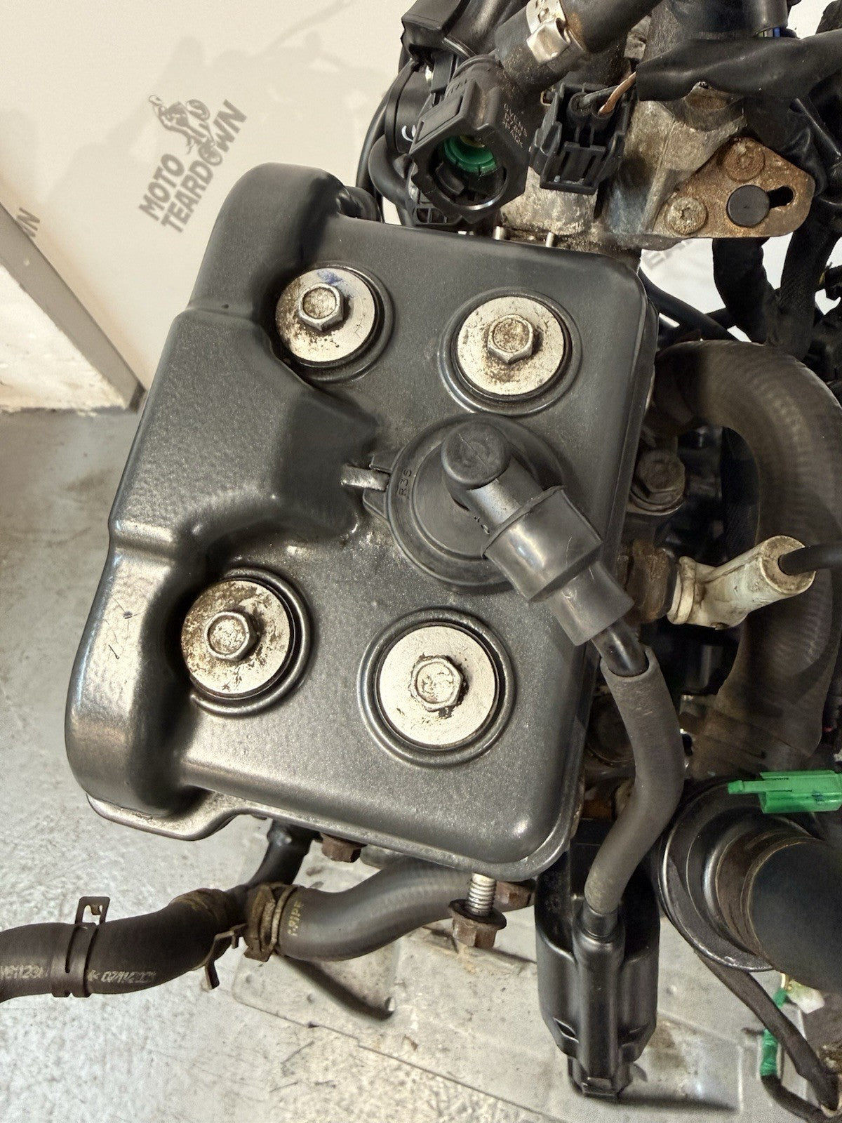 11079acd-303c-4ccd-b5fb-c0f2053a2eaa