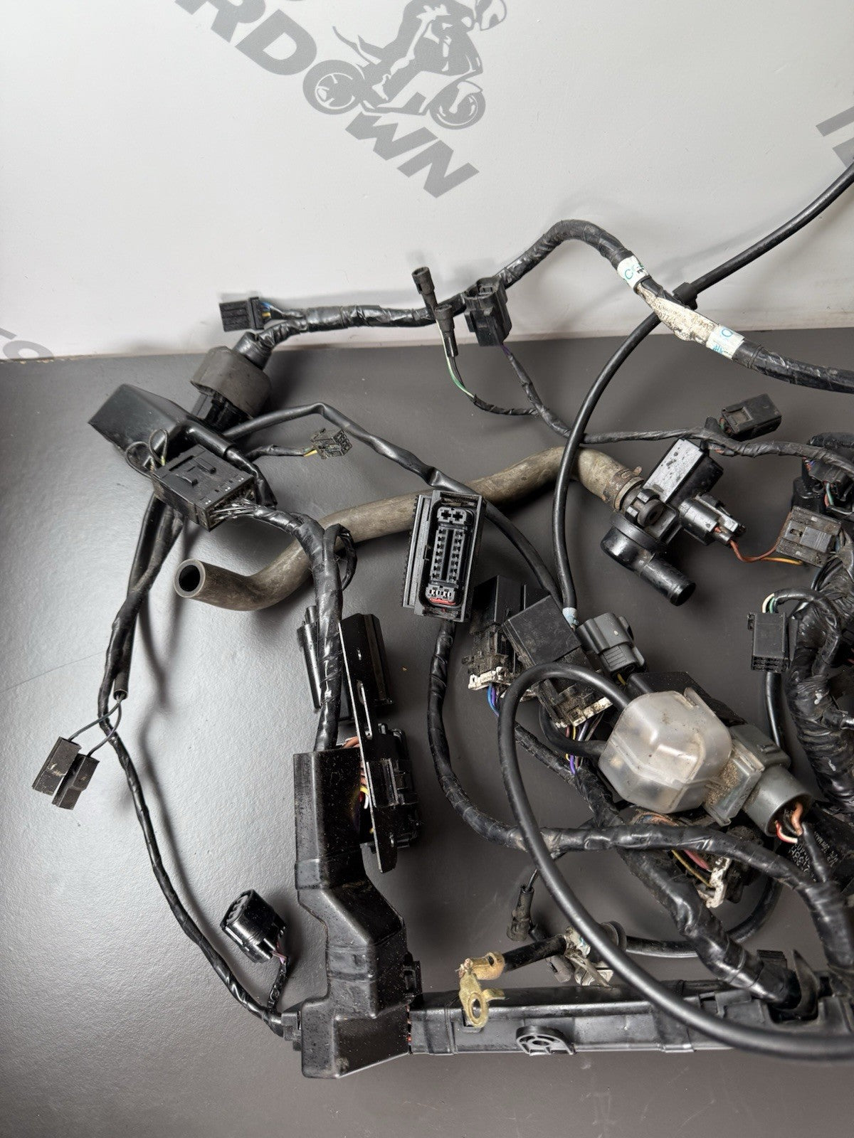 TRIUMPH STREET TRIPLE 675R WIRING LOOM Engine Wiring Loom 2013-2016
