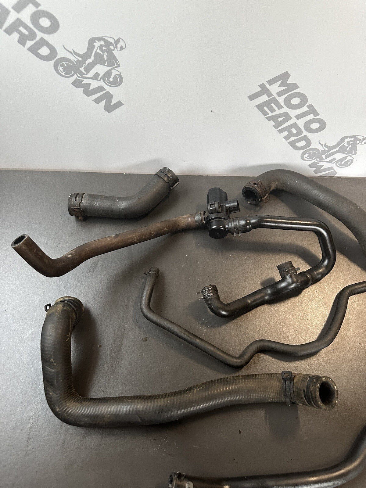 TRIUMPH STREET TRIPLE 765RS Job Lot Engine Hoses Job Lot Hoses 2017-2019 OEM