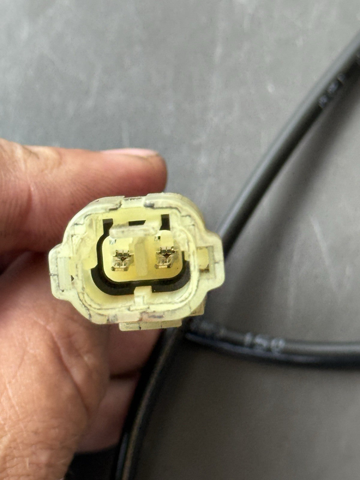 Triumph Trident 660 Front ABS sensor Genuine OEM 2021 - 2023 660 FT ABS sensor