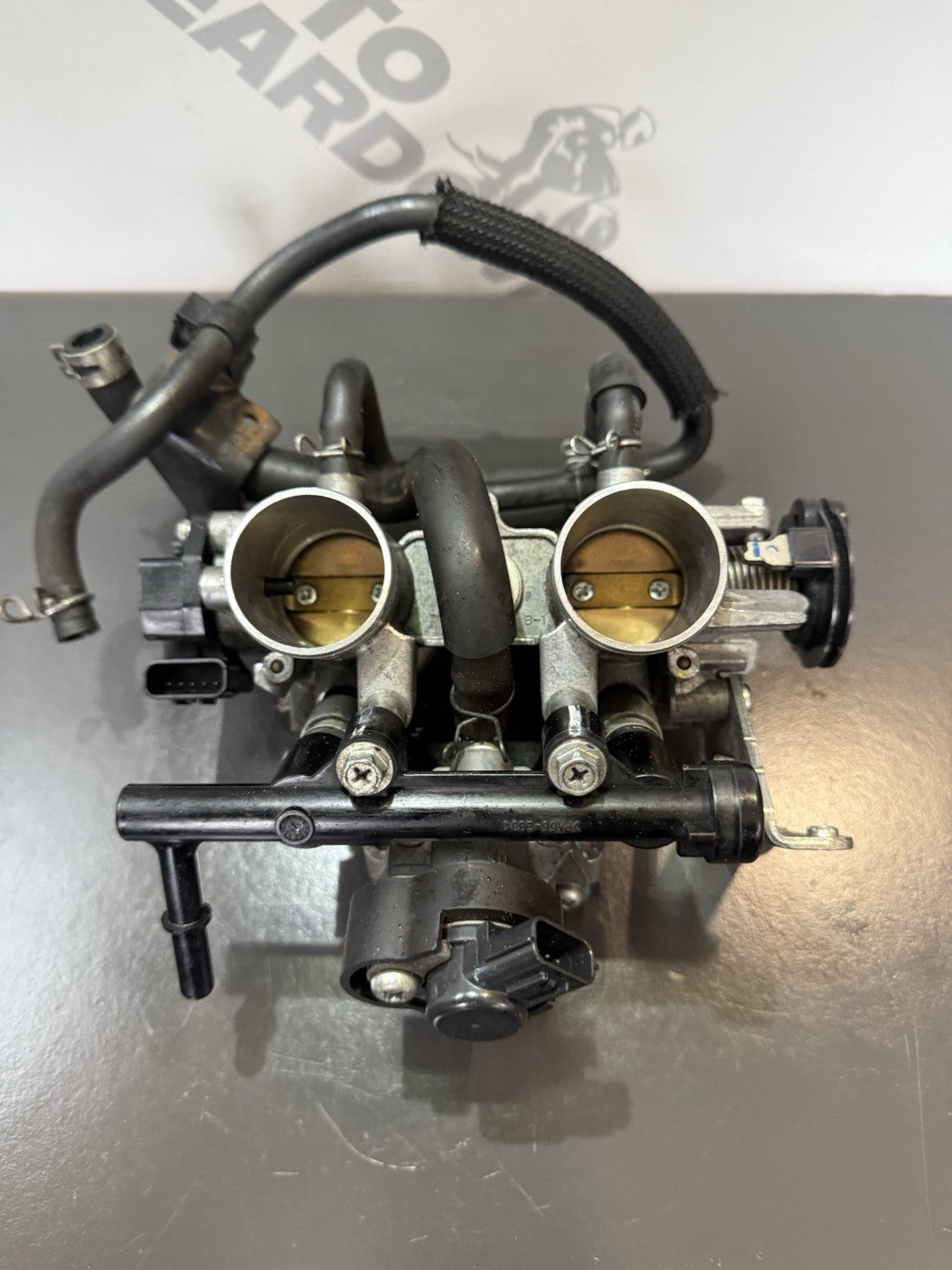 8ce42a19-1704-476c-a97c-8f8e0f3e5fa6