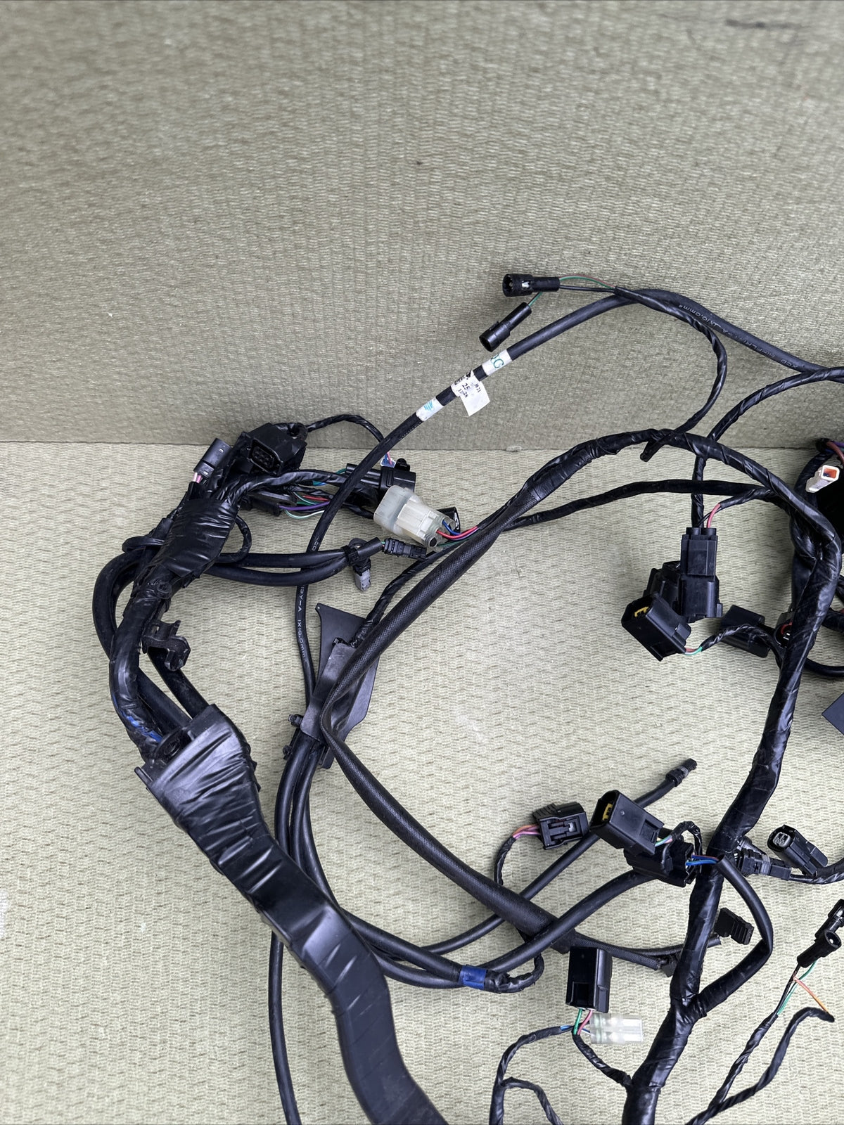 Triumph Speed Triple 1200 RR Main Wire Harness Wires Wiring Loom Full Loom 2022