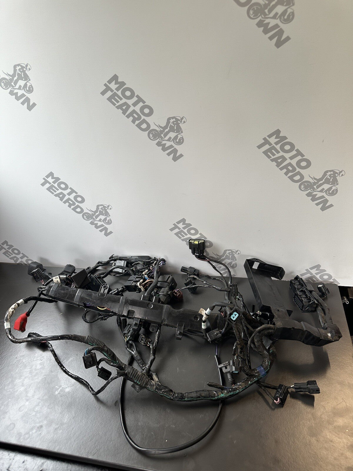 TRIUMPH STREET TRIPLE 675 ABS 2013 - 2016 WIRING LOOM HARNESS Engine Loom 12,409