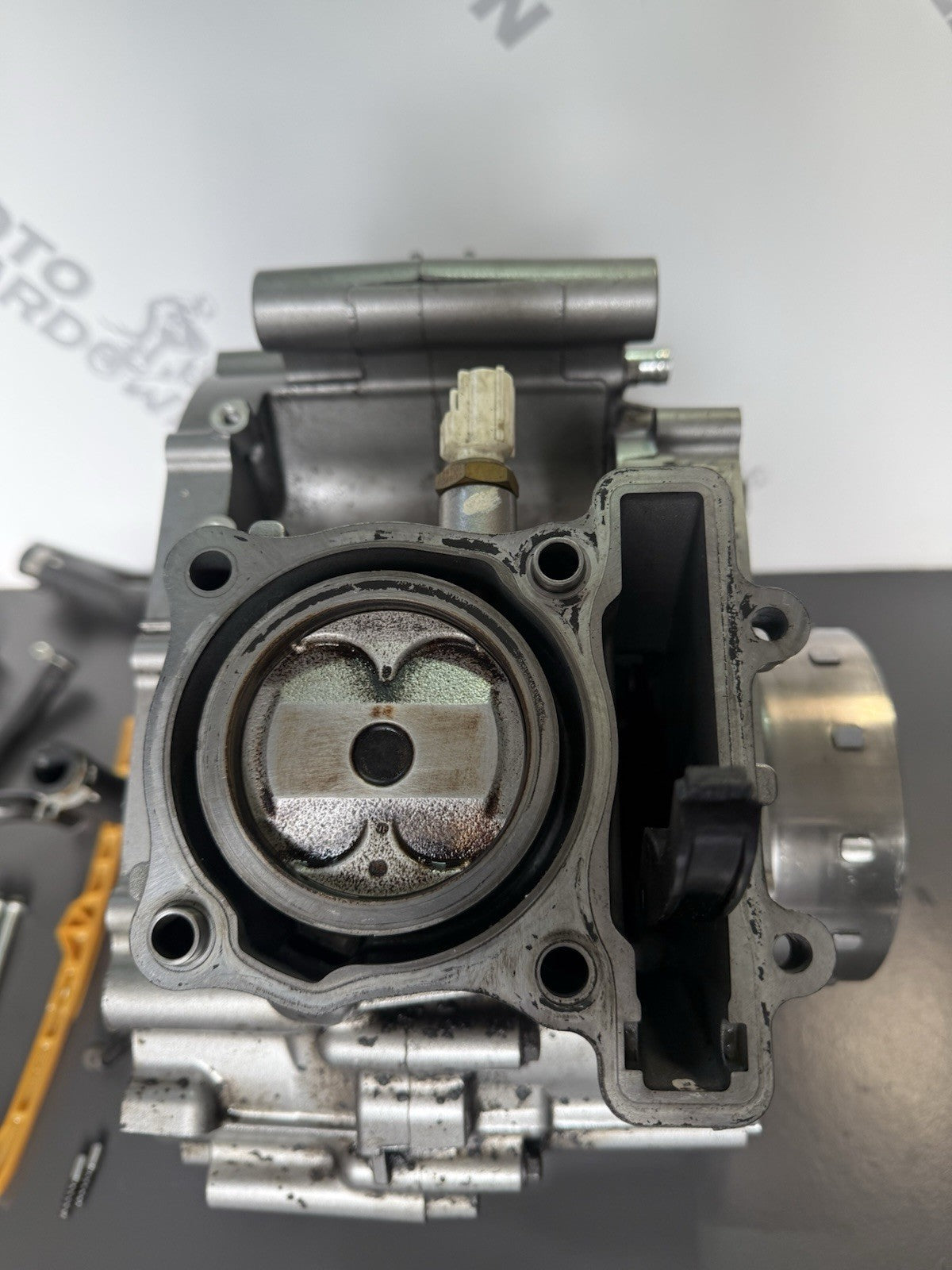 d37f5144-37e5-4722-9436-13e382f9bc61