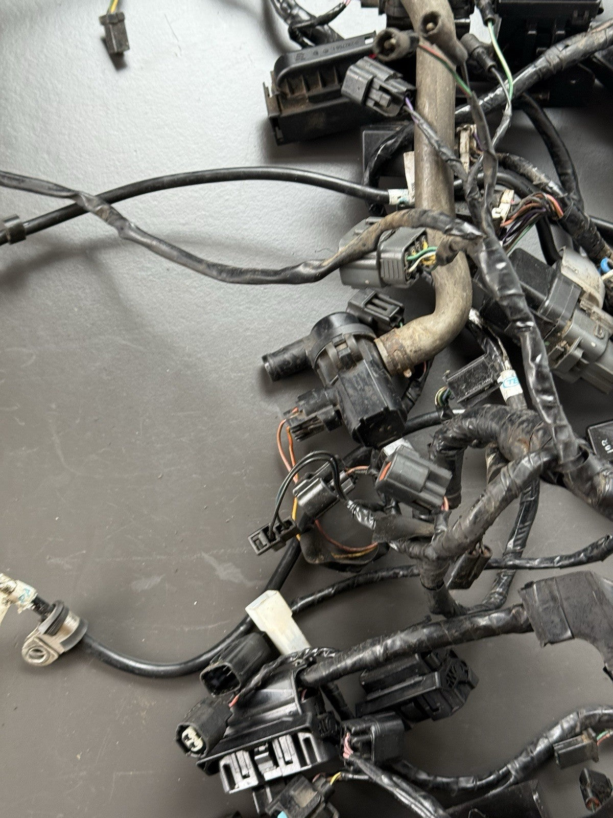 TRIUMPH STREET TRIPLE 675R WIRING LOOM Engine Wiring Loom 2013-2016