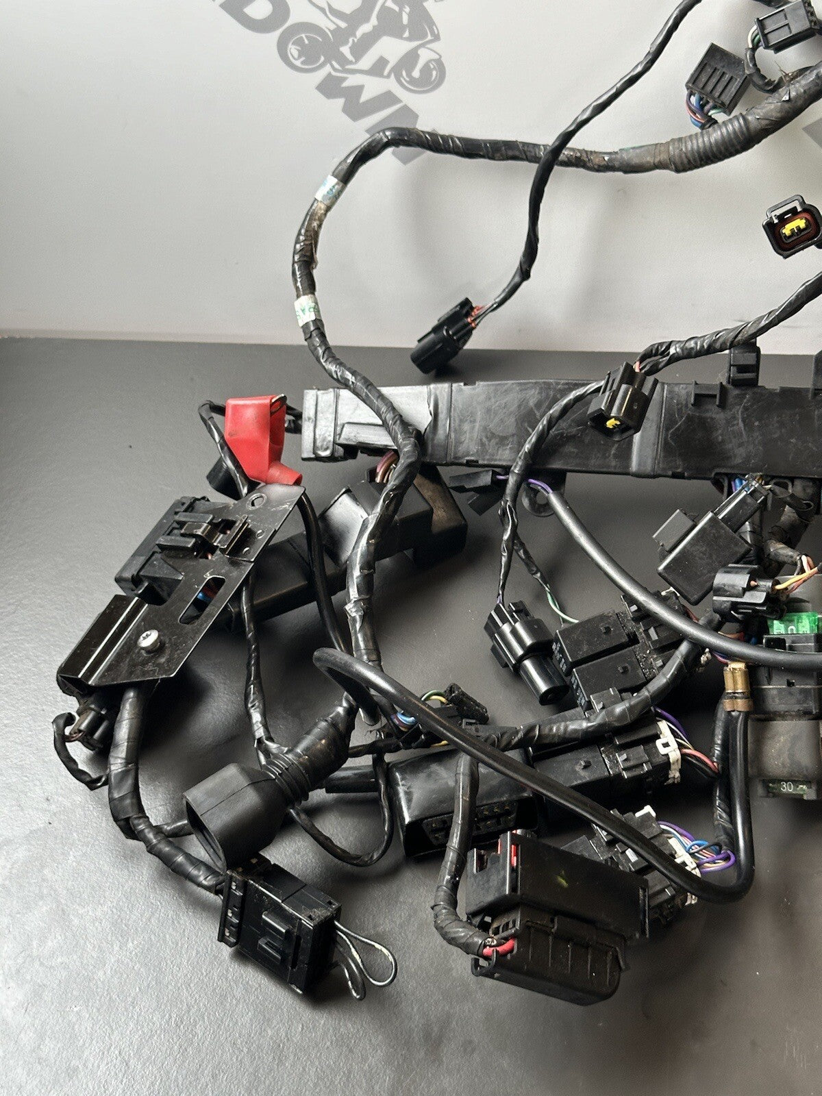 TRIUMPH STREET TRIPLE 675 ABS 2013 - 2016 WIRING LOOM HARNESS Engine Loom 12,409