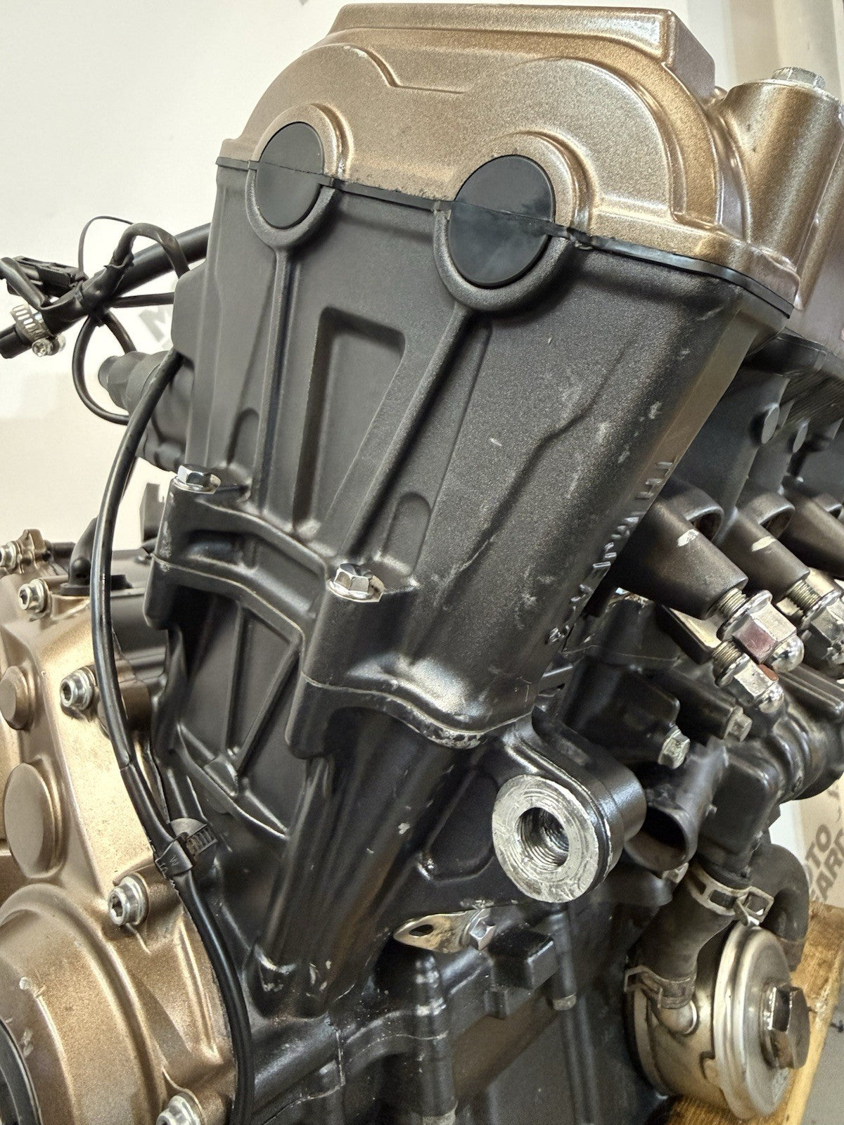 3969d611-aa85-493a-921a-f75a8313b606