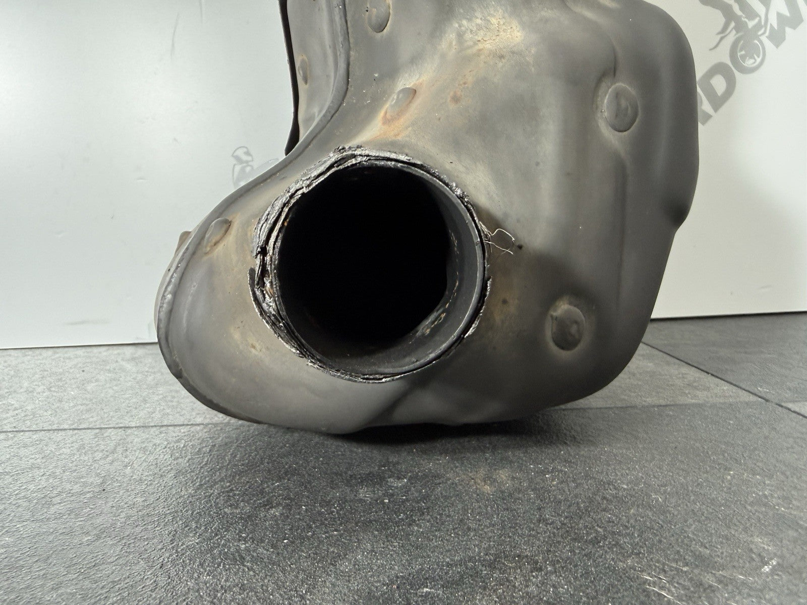 b8691f36-f294-4a8e-89e5-42c1982fbef2