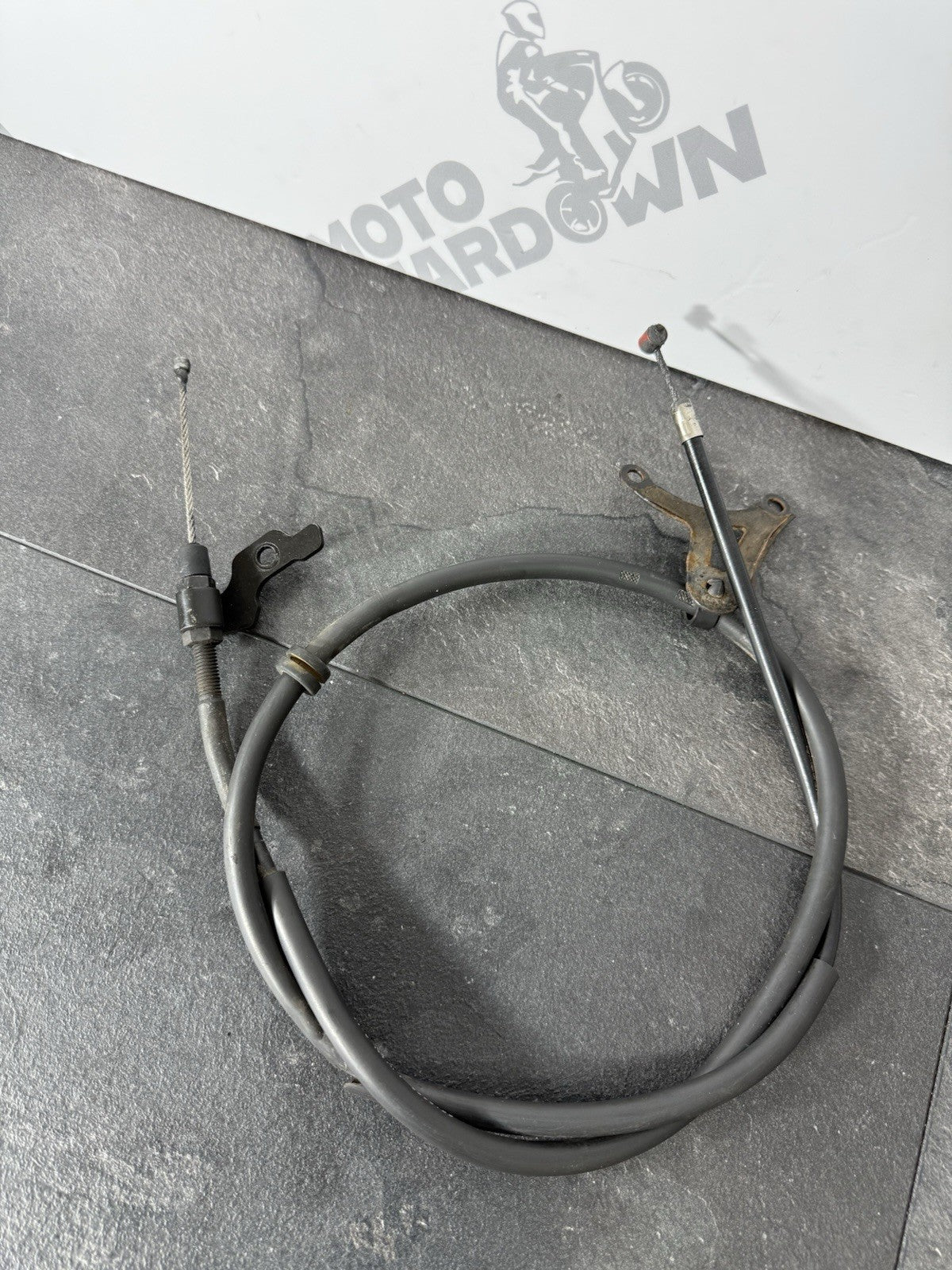 1f491ce7-64fc-468e-99d0-0c76b12c4370