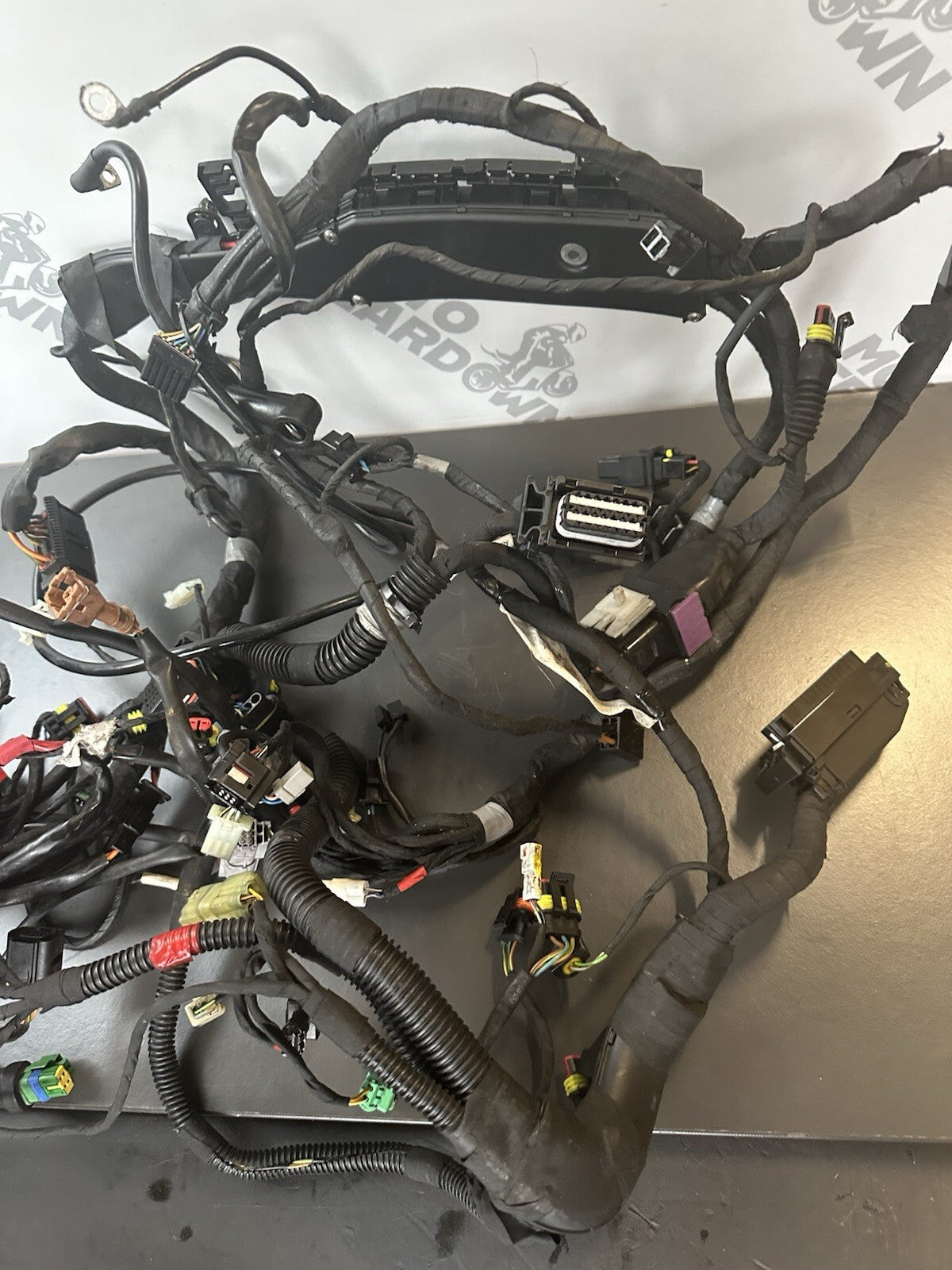 Aprilia Tuono V4 1100 Factory 2017- Engine wiring loom Complete harness 2D000304