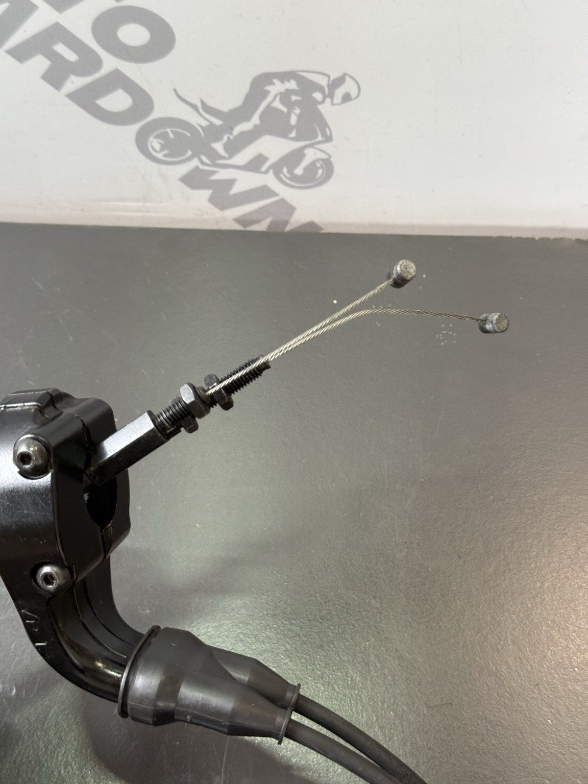 1d1c3523-269a-494a-97af-cc5cdf903883