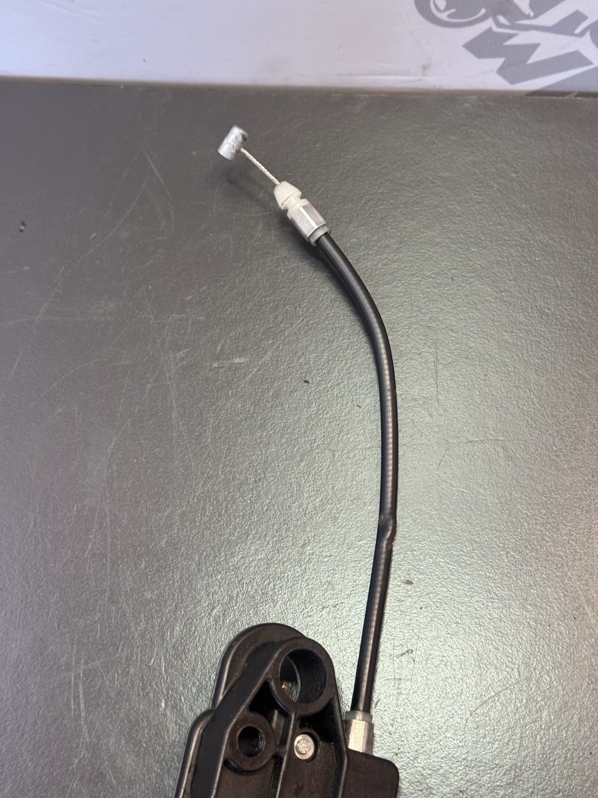 c601a73e-ca4b-4eb9-bf08-516910a4ace2