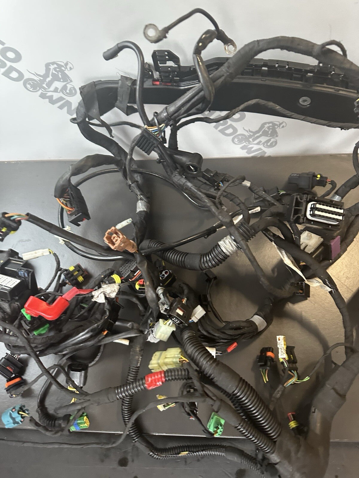 Aprilia Tuono V4 1100 Factory 2017- Engine wiring loom Complete harness 2D000304