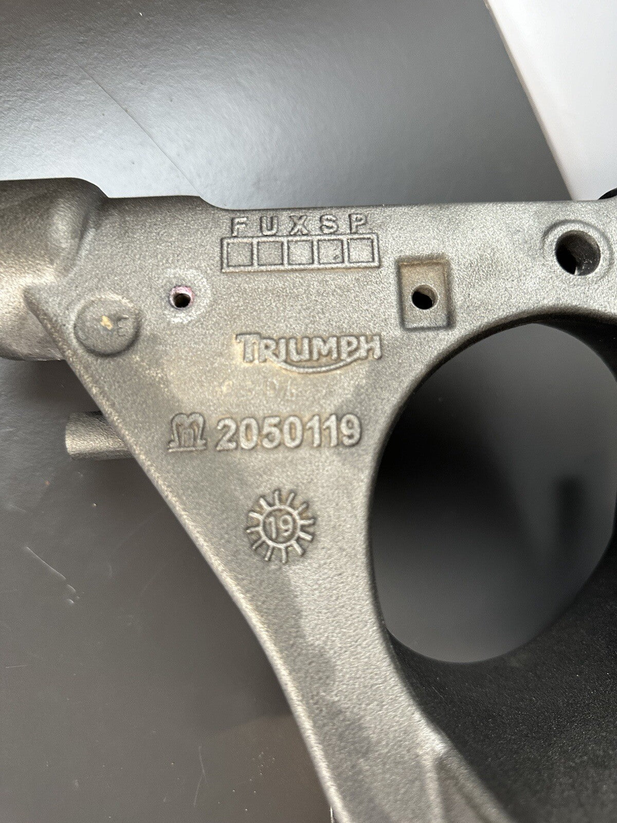 Triumph Speed Triple 1050 RS 2018 - 2020 Swingarm Swinging Arm T2050119 OEM