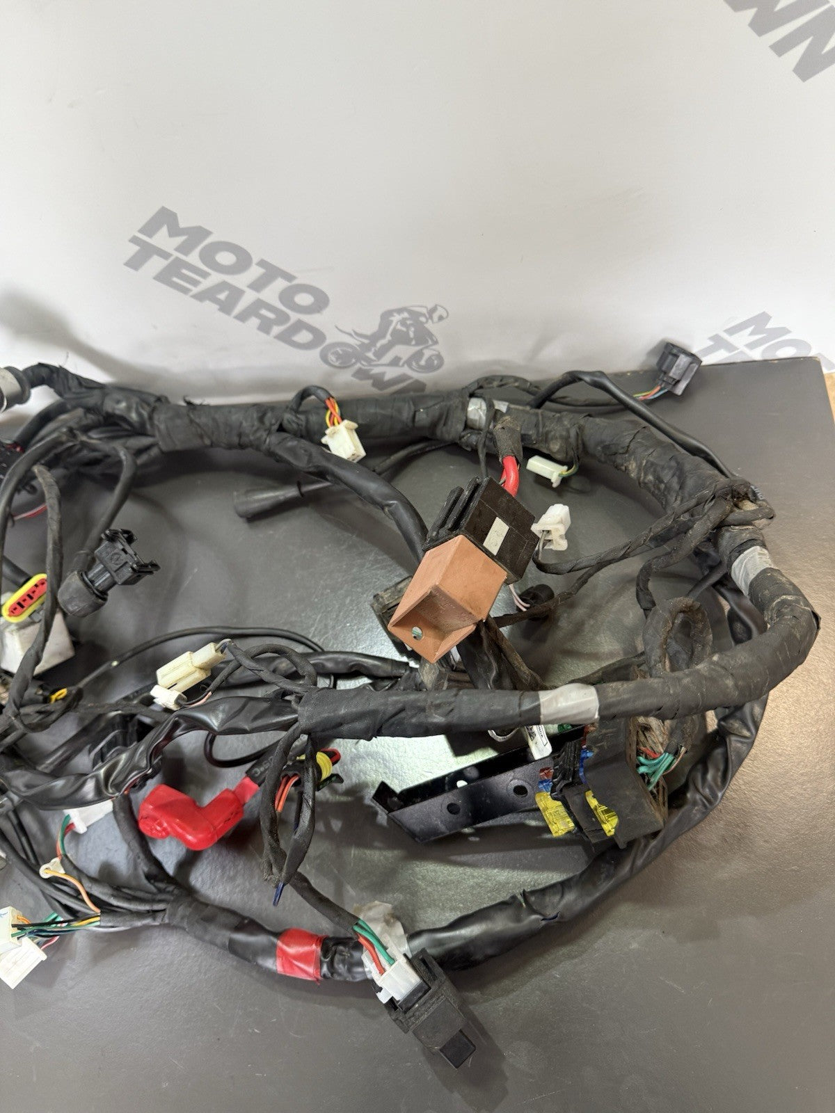 c38e0315-e2a2-41f3-ae2f-ca9eb2eaf72e