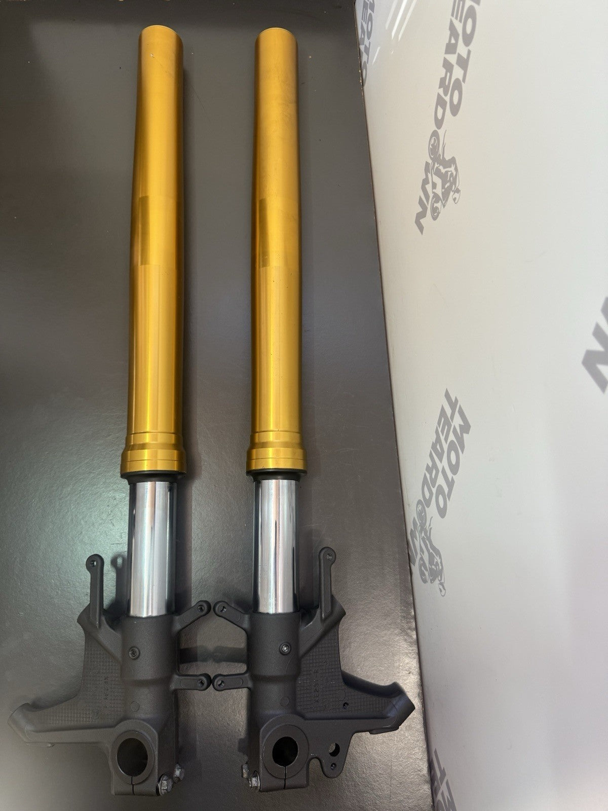 853ac8b9-593d-4bd1-aa63-a4294bd6cbfb