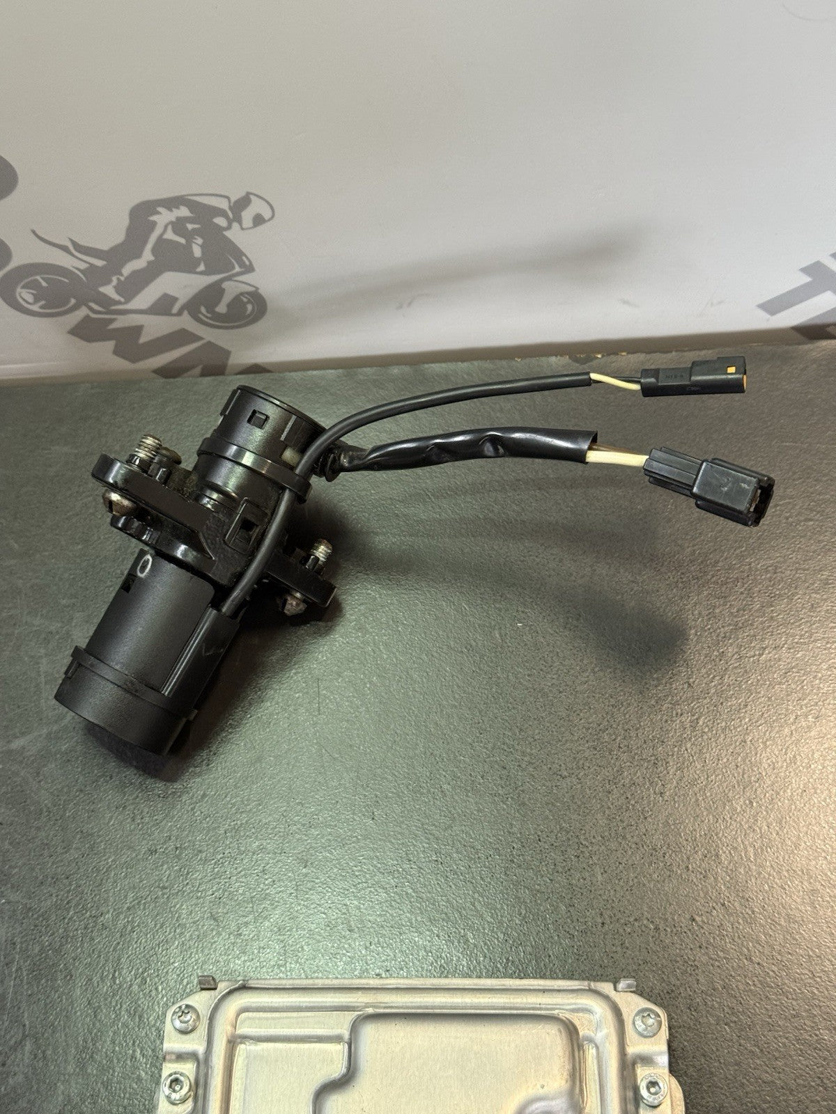 79e96b4a-e8b6-4c32-a11d-8c2113b643a1