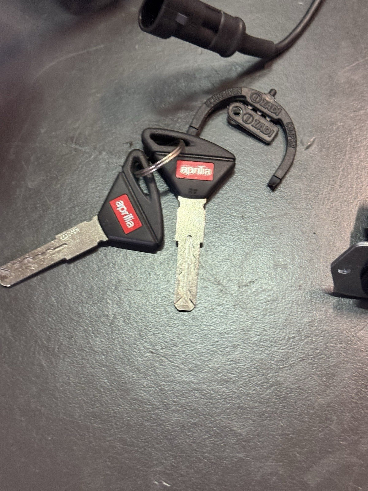 484bf024-7817-46fc-ac3d-b8b8d29ab52f