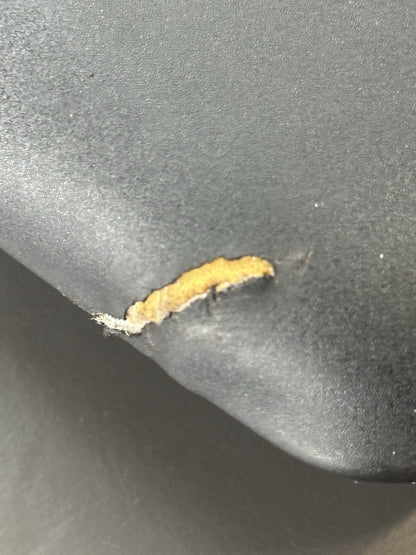 Yamaha MT-07 MT07 Rear pillion passenger seat saddle Genuine OE 2014 - 2017 TORN