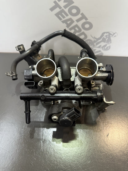 1f8cf5d6-2b2c-4ea5-bc17-8b6975c2d303