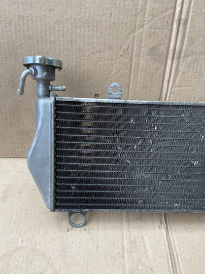 Ducati Panigale 1199 Cooler Radiator Water 2013