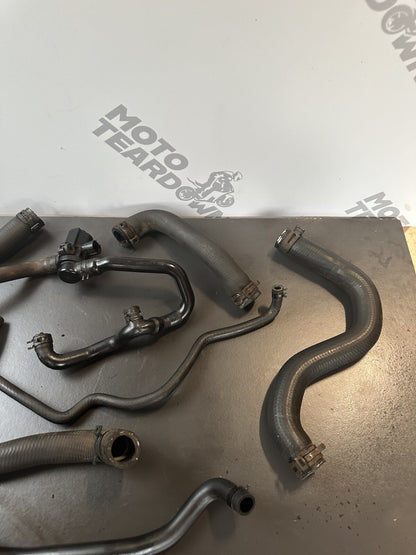 TRIUMPH STREET TRIPLE 765RS Job Lot Engine Hoses Job Lot Hoses 2017-2019 OEM