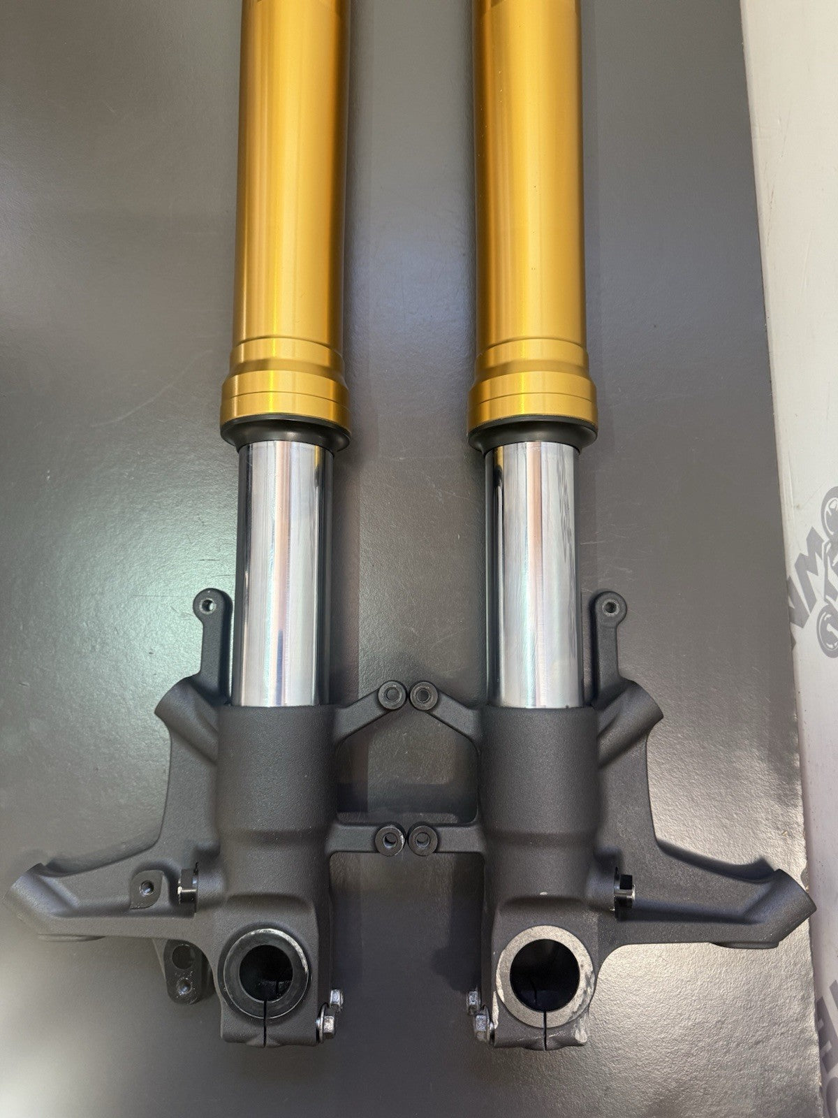 4d23a609-a474-408f-8d69-9fd486f1d88d