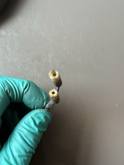 Triumph Street Triple 675R Indicator Assembly 2008-2011 OEM 675 Indicator OEM