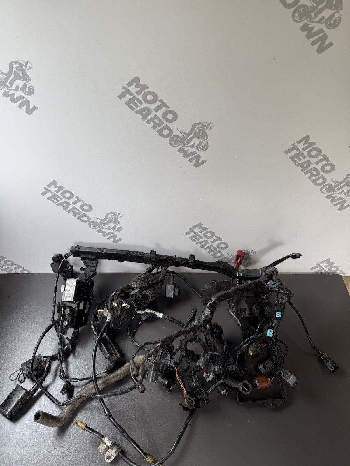 TRIUMPH STREET TRIPLE 675R WIRING LOOM Engine Wiring Loom 2013-2016