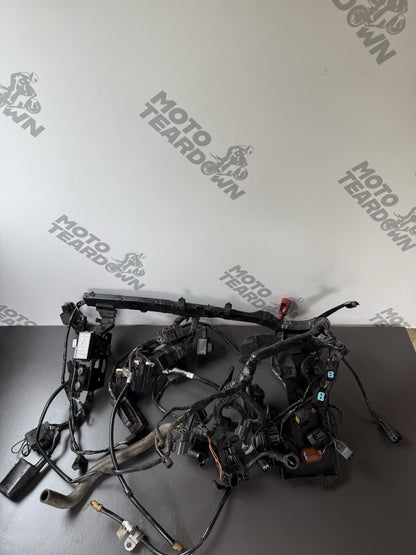TRIUMPH STREET TRIPLE 675R WIRING LOOM Engine Wiring Loom 2013-2016