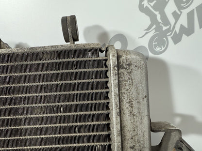 Yamaha YZF R125 R 125 2014 Radiator & Fan 26983 Miles 2008-2018 OEM