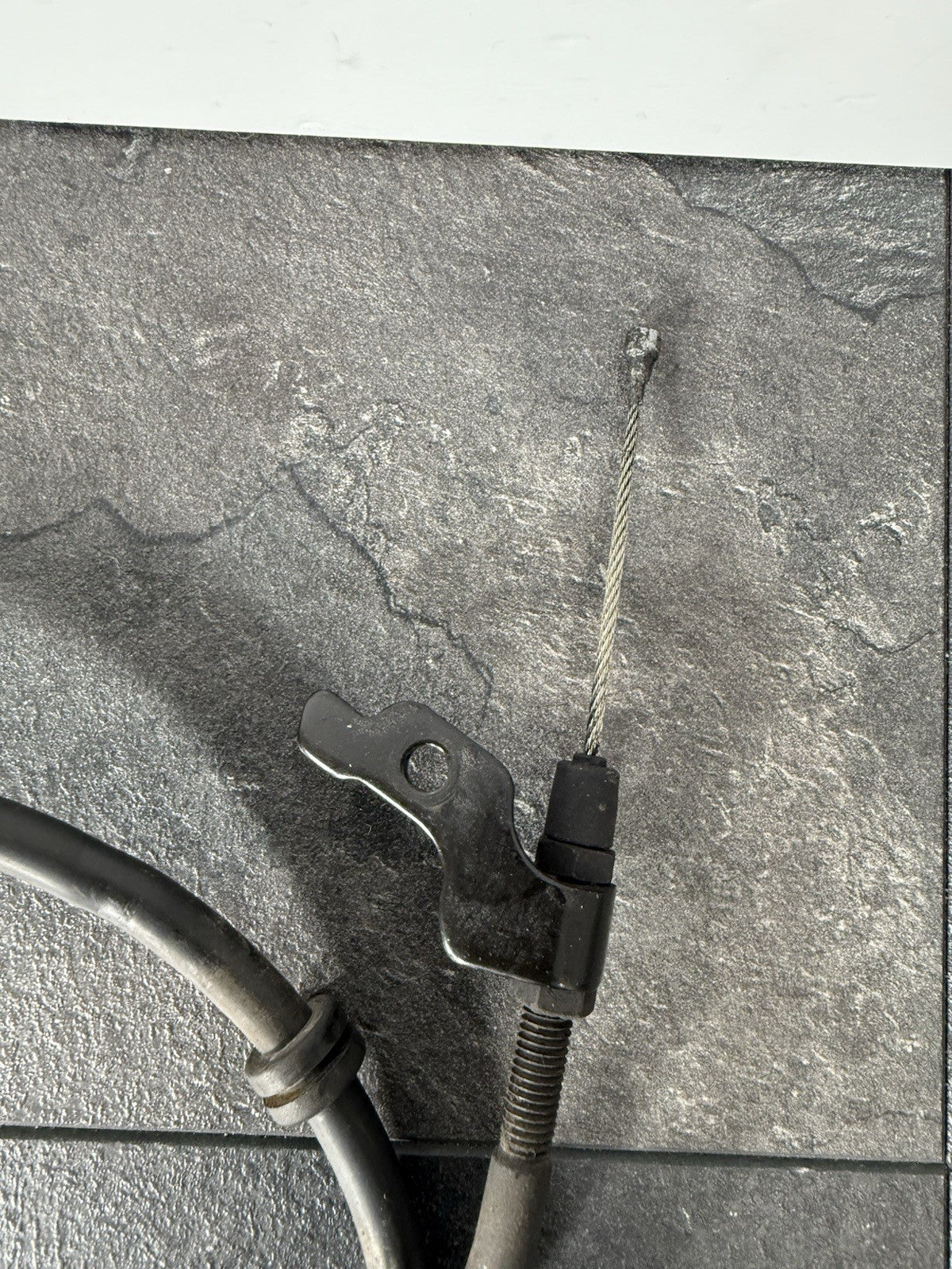 02ed876c-bd9e-4b1a-be1d-ae04bd013131