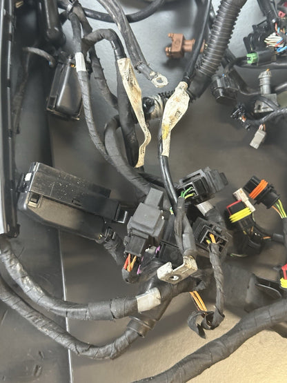 Aprilia Tuono V4 1100 Factory 2017- Engine wiring loom Complete harness 2D000304