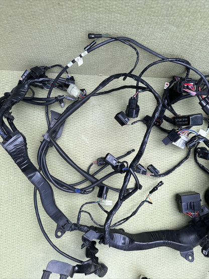 Triumph Speed Triple 1200 RR Main Wire Harness Wires Wiring Loom Full Loom 2022