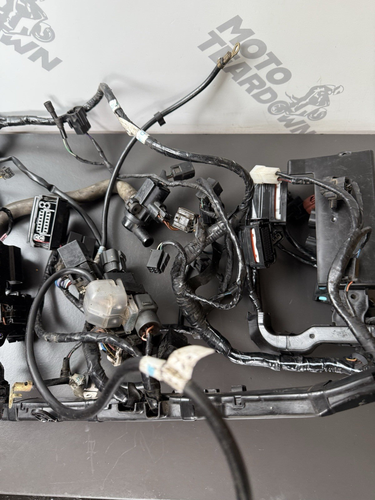 TRIUMPH STREET TRIPLE 675R WIRING LOOM Engine Wiring Loom 2013-2016