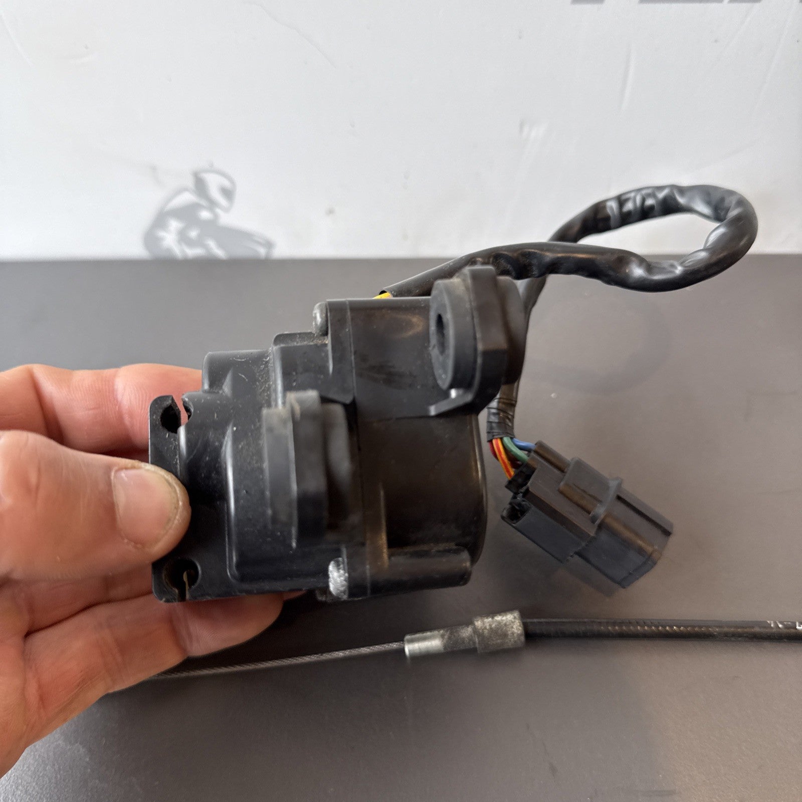 3ff09d87-4103-4a32-871b-abf7aa53ff5c