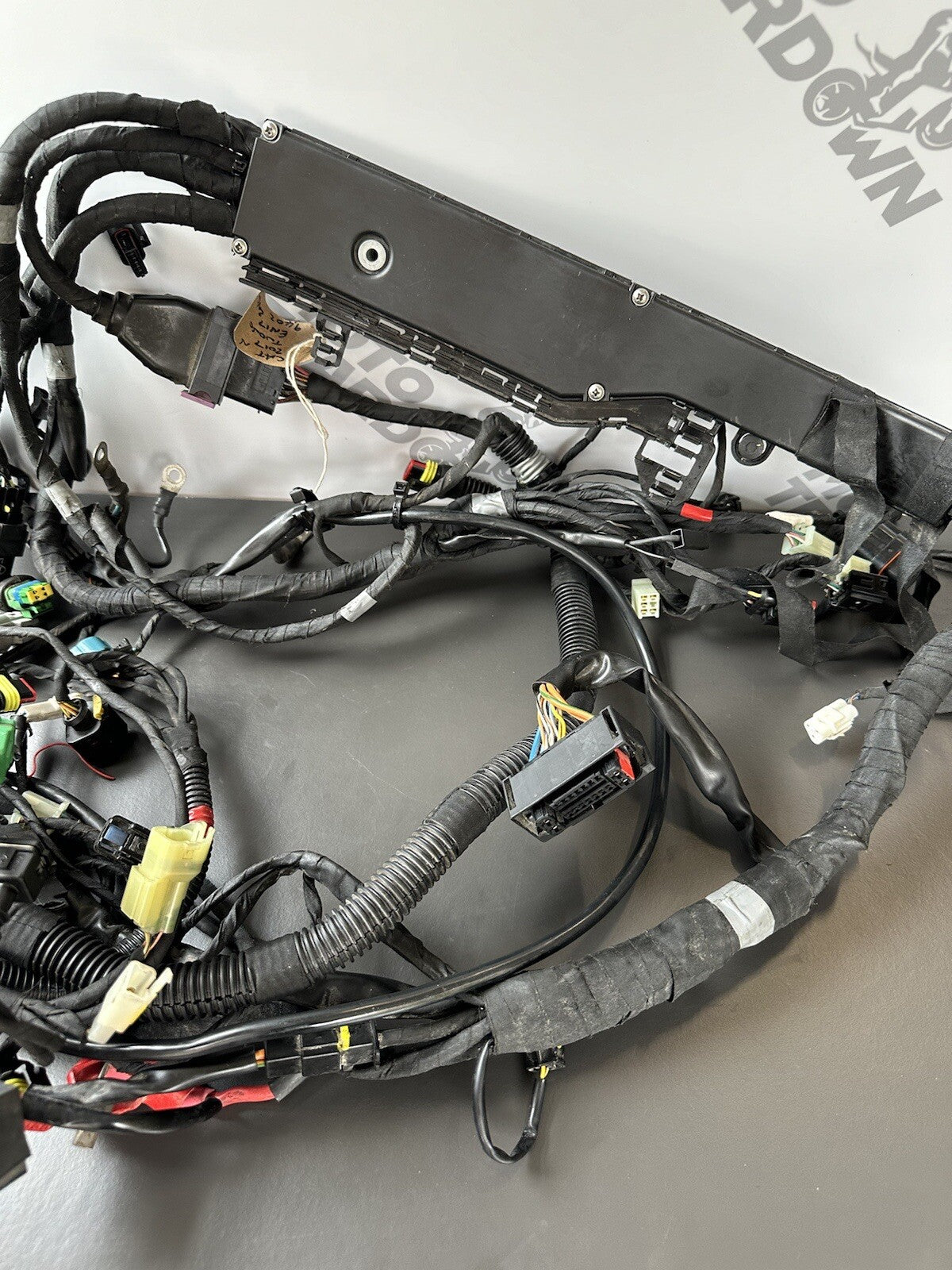 Aprilia Tuono V4 1100 Factory 2017- Engine wiring loom Complete harness 2D000304