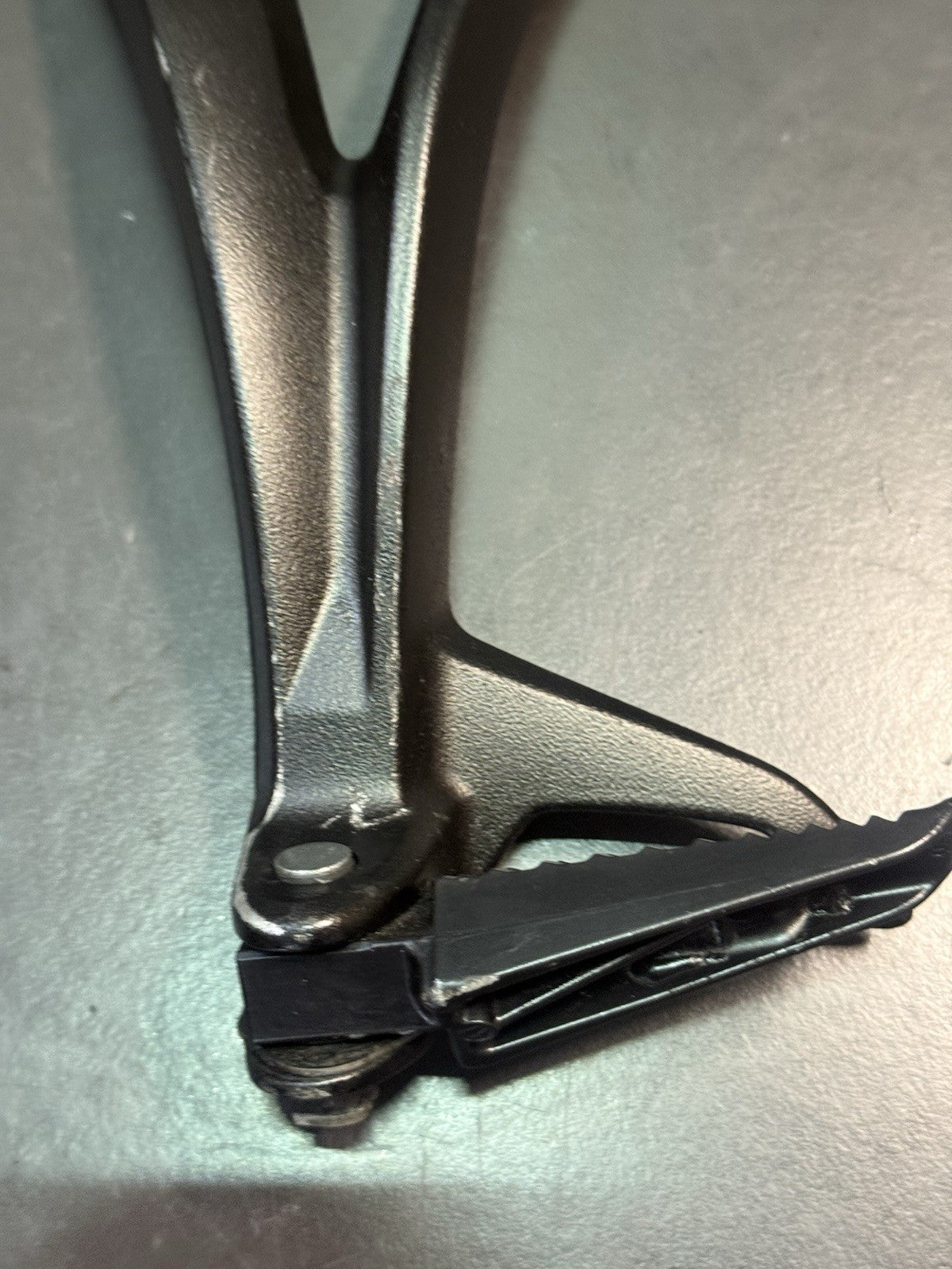 1cb9b8cc-55ea-4f3e-8a12-b59694c2276e