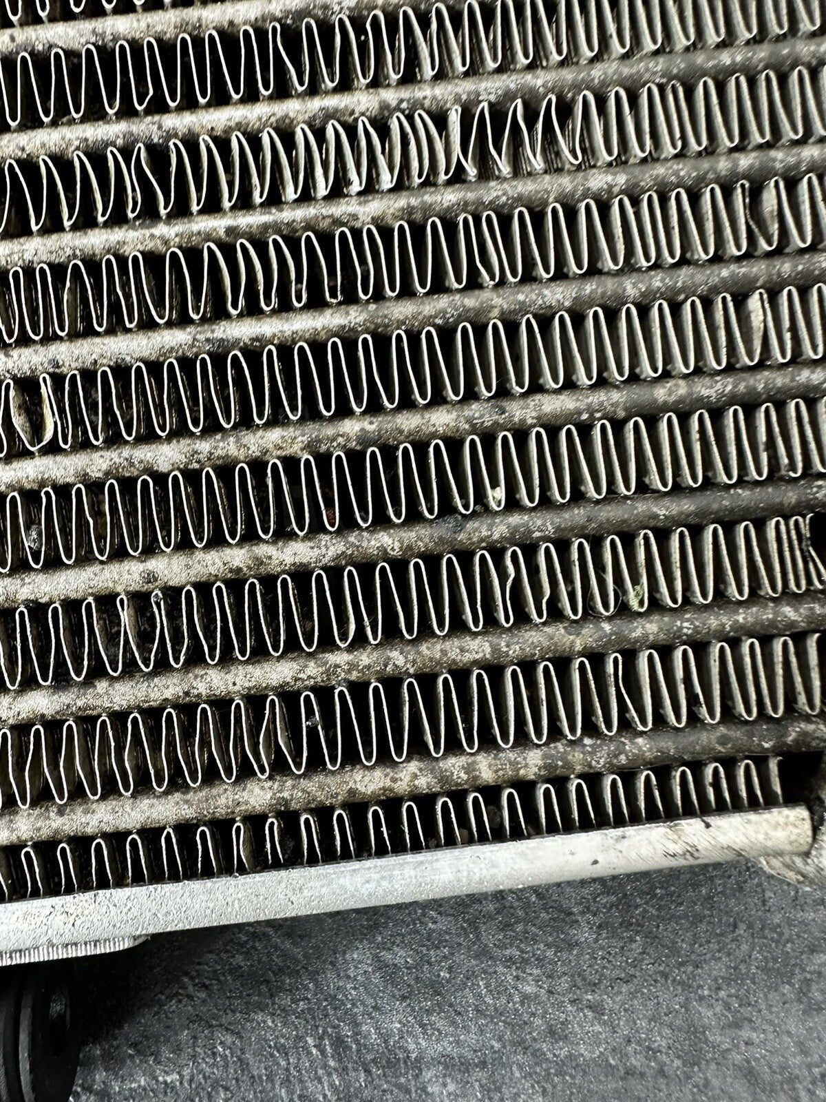 Aprilia Tuono V4 1100 2021 Oil Cooler Radiator Only 6606 Miles 2022-2024 OEM